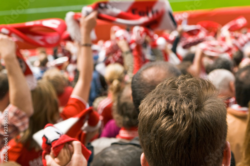 Fußballfan, Zuschauer, Stadion, Jubel