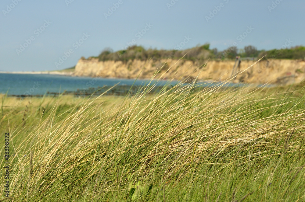 Steilküste an der Ostsee Steilküste an der Ostsee