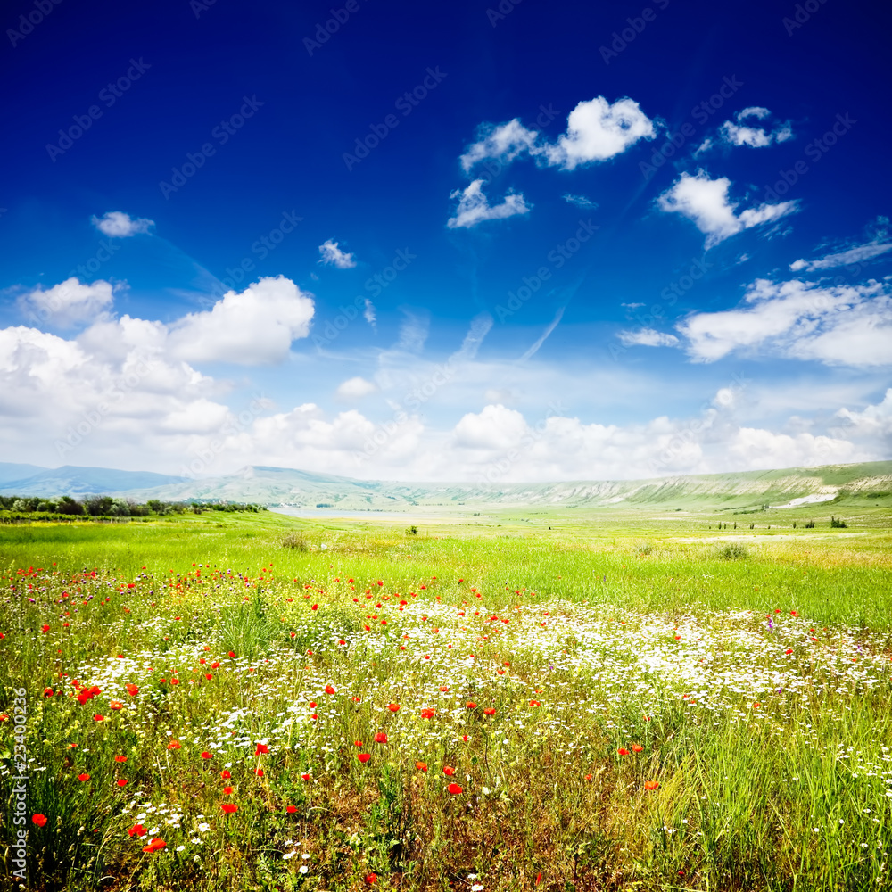 Beautiful Spring Landscape Beautiful Spring Landscape