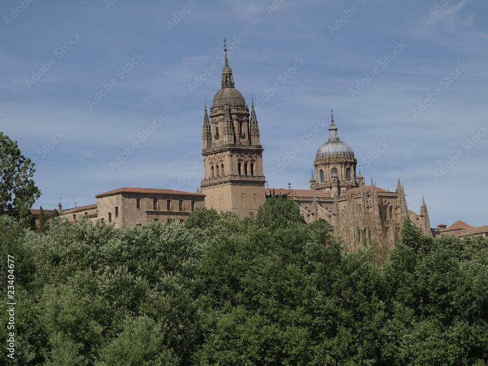 Catedral Nueva de Salamanca desde el río Tormes
