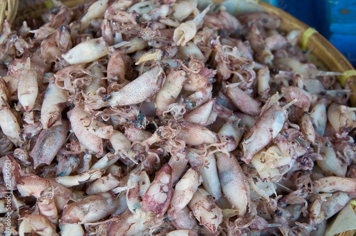 Dried squid at rayong province