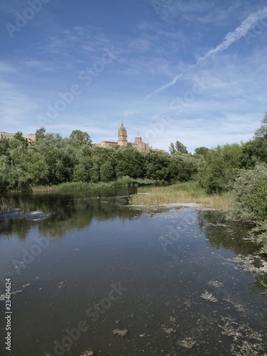 Catedral Nueva de Salamanca desde el Tormes