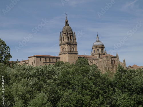 Catedral Nueva de Salamanca desde el río Tormes