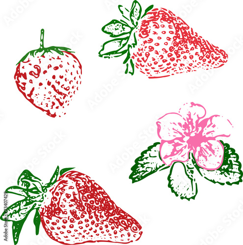 Erdbeeren und Blüte
