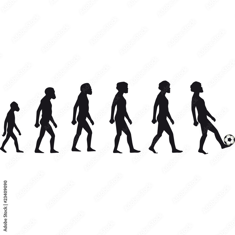 evoluzione