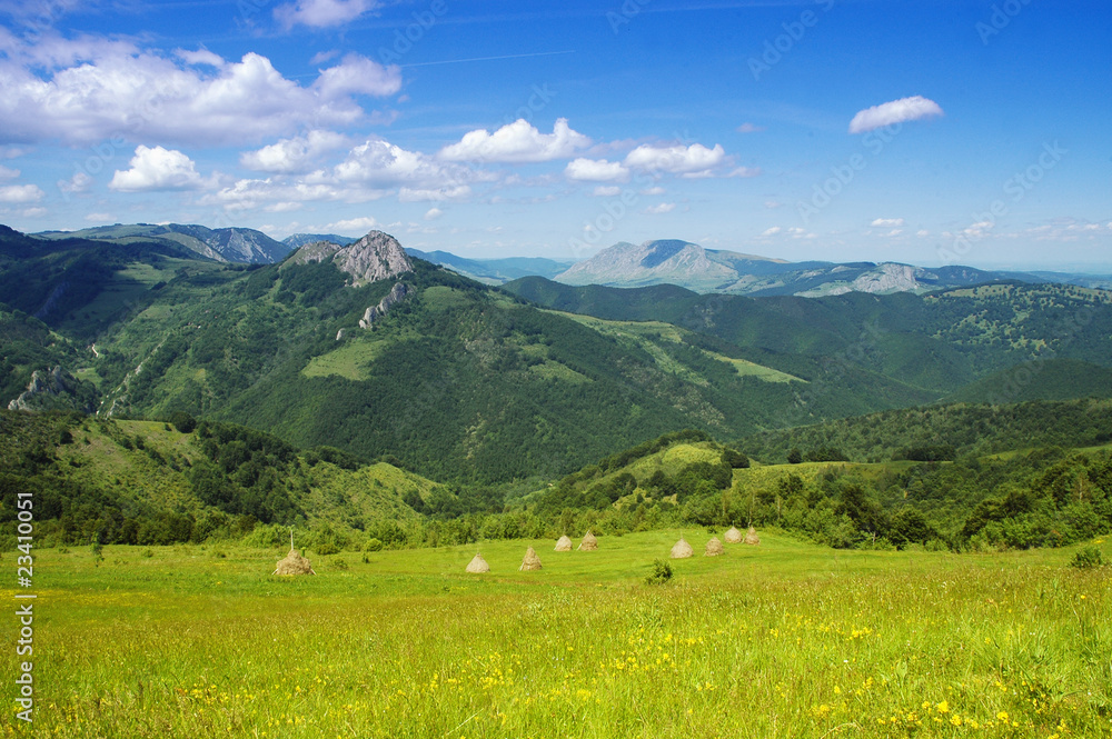 Landscape with green grass and blue sky Landscape with green grass and blue sky