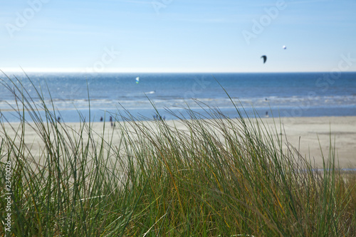 strandhafer an der nordsee © eyewave