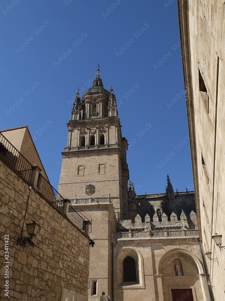 Fototapeta premium Torre de la Catedral Nueva de Salamanca