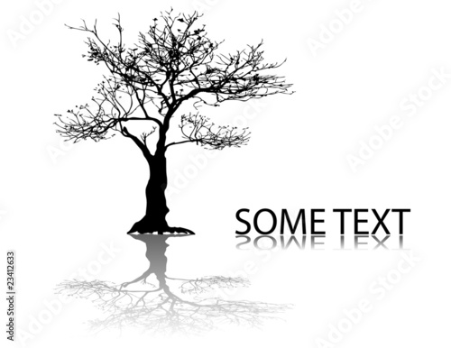 black tree and text