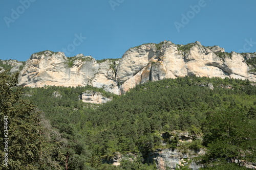 Gorges du Tarn,Lozère