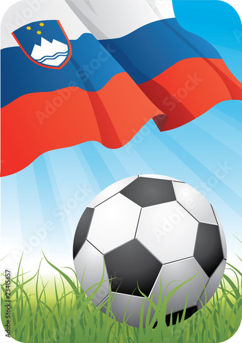 World soccer championship 2010 - Slovenia