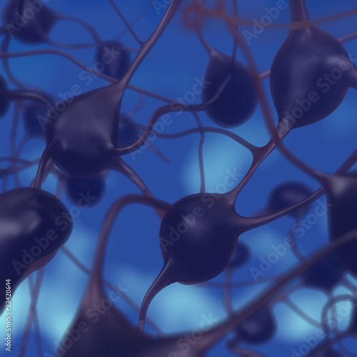Neuronal circuitry