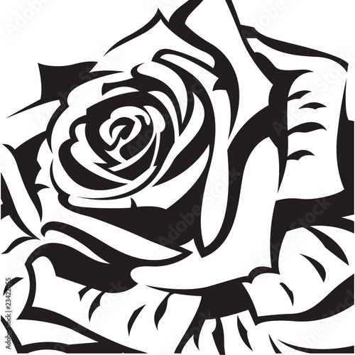 rose