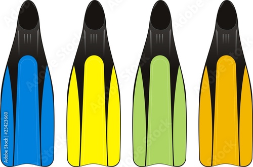 four flippers isolated on withe background