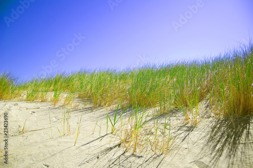 Dunes conceptual image.