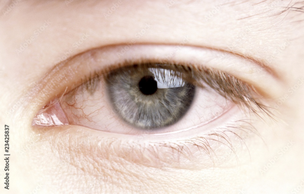 Fototapeta premium grey eye