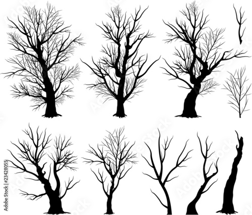 Vector tree silhouettes