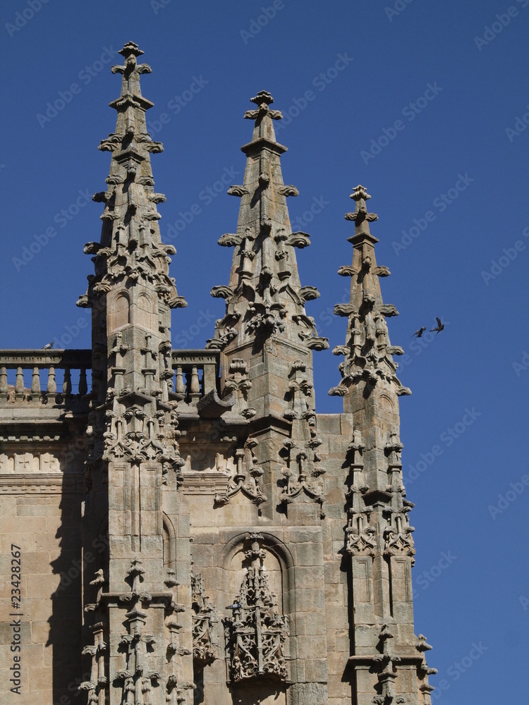 Agujas de la Catedral Nueva de Salamanca