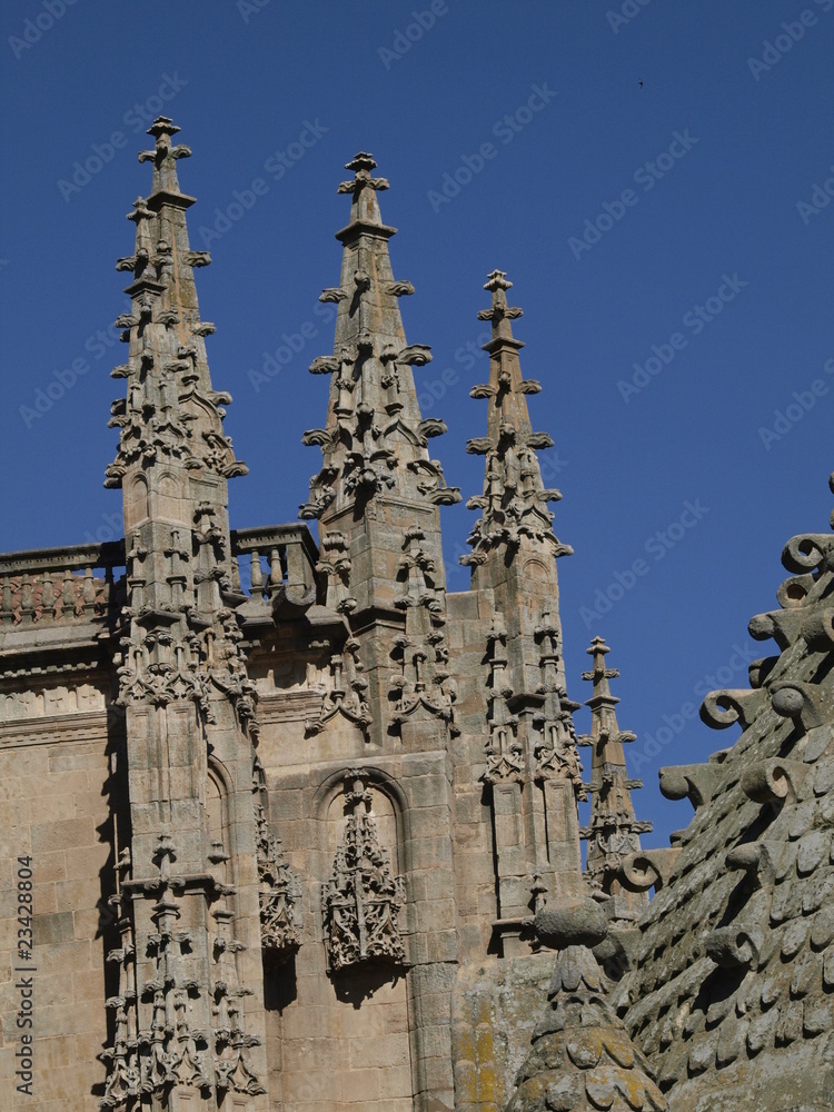 Agujas de la Catedral de Zamora