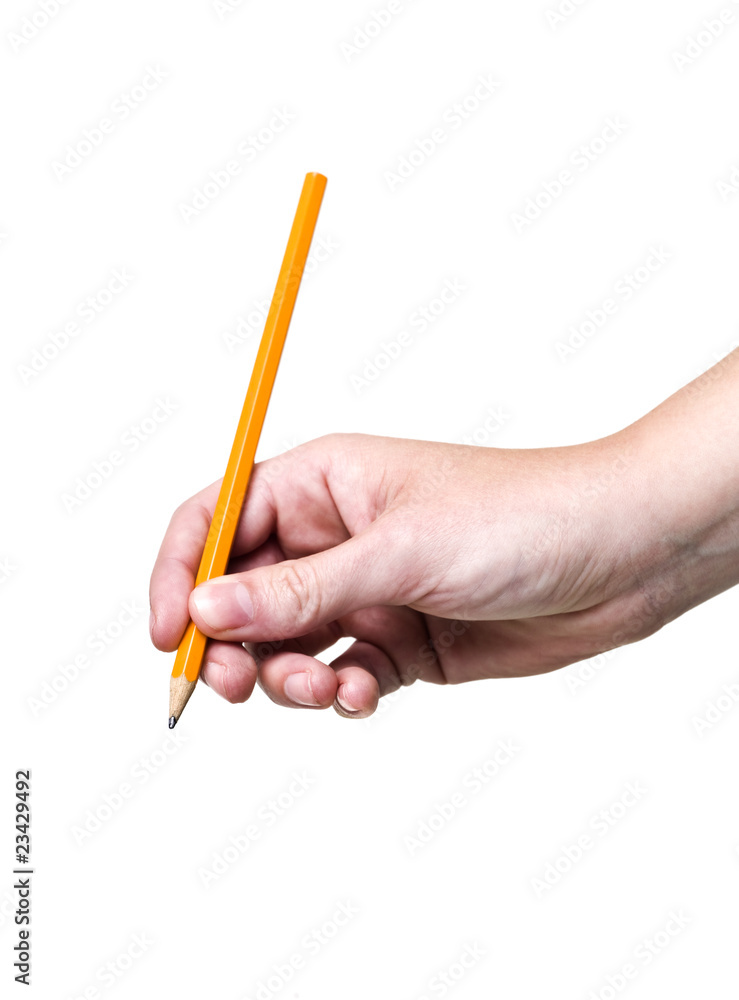 Hand holding a pencil Hand holding a pencil