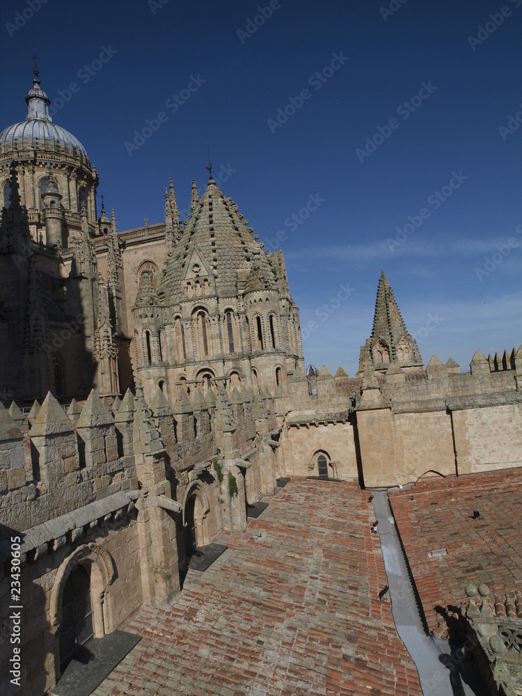Detalle de la Catedral Vieja de Salamanca