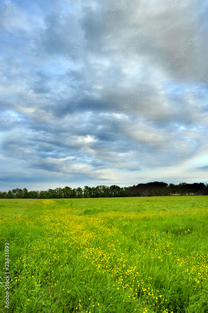 Fototapeta premium Pianura Padana