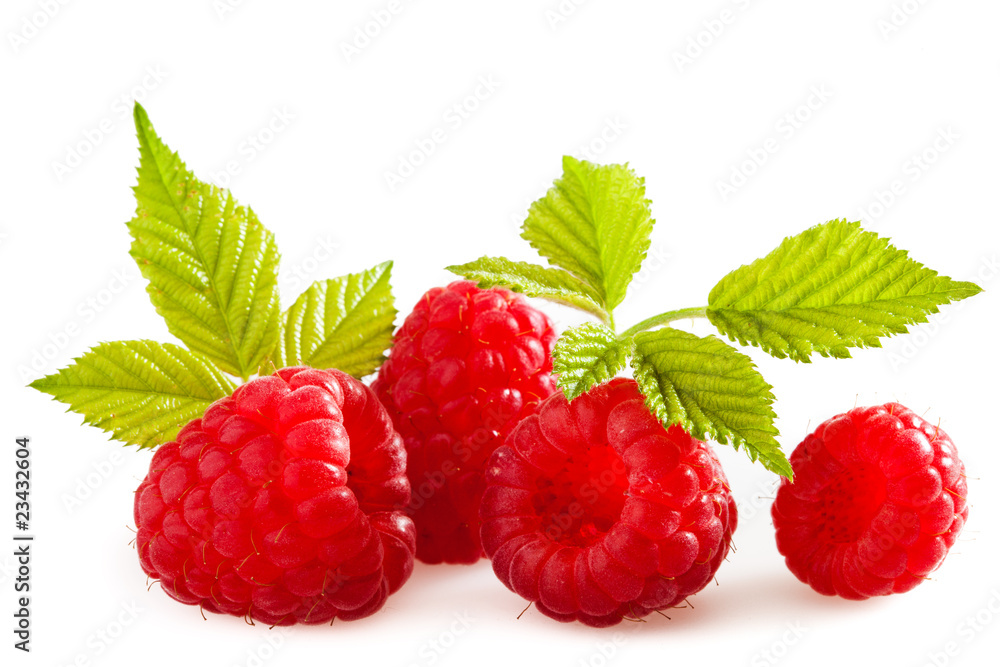 Framboises Framboises