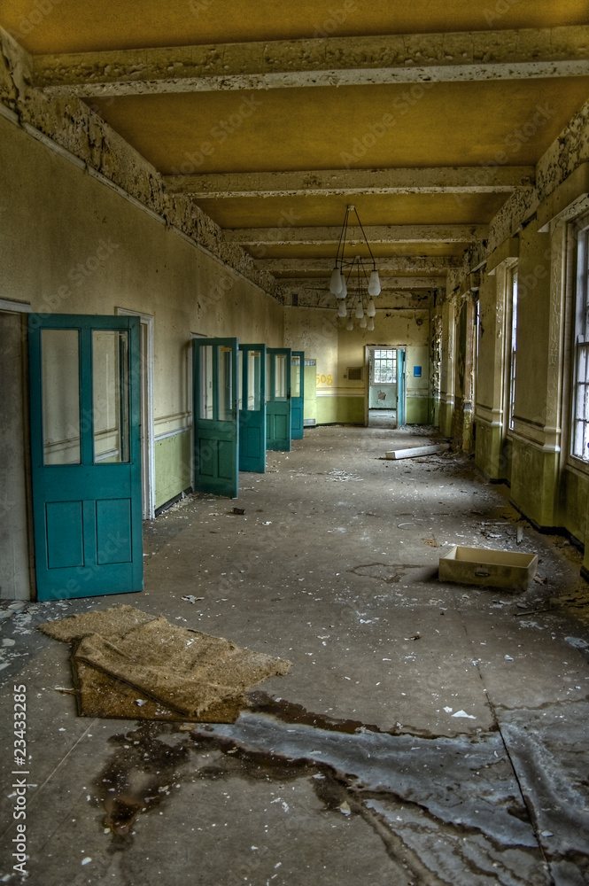 Which door Which door