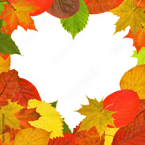 heart shape bright autumn leaves frame
