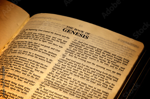 Canvas-taulu The book of Genesis