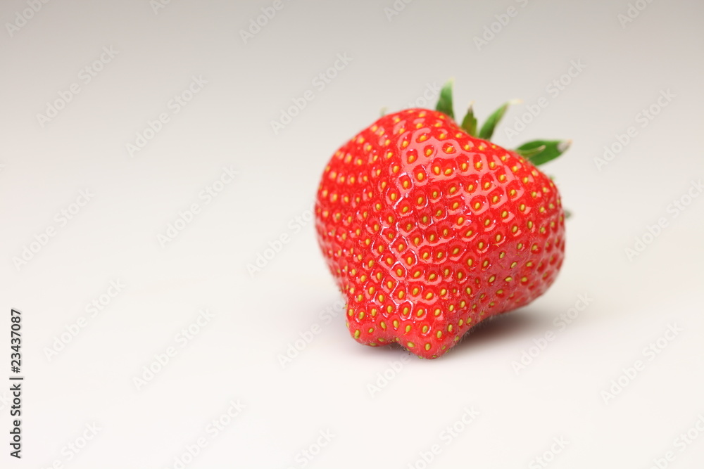 erdbeere erdbeere