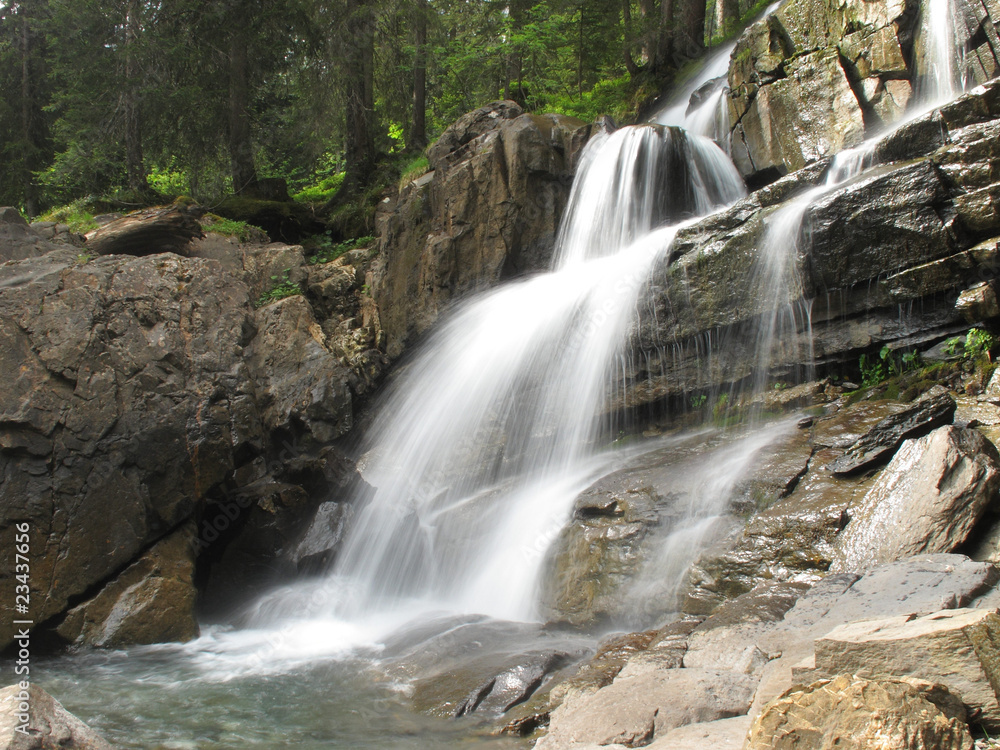 Obraz premium Wasserfall im Bergwald