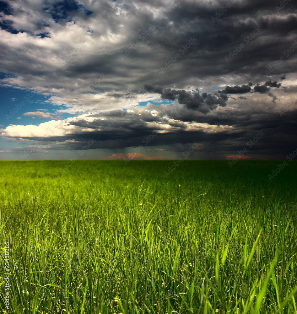 Storm over meadow