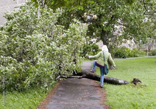 Girl step over a tree