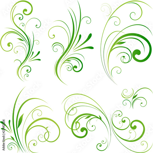 Floral decorative swirls