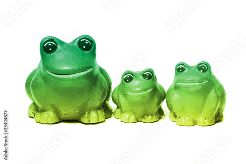 family of frogs isolated