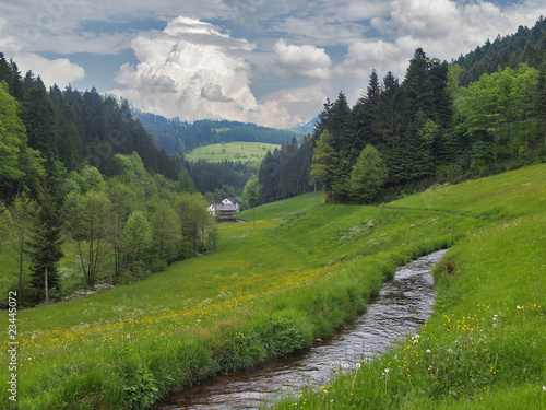 Schwarzwaldtal photo