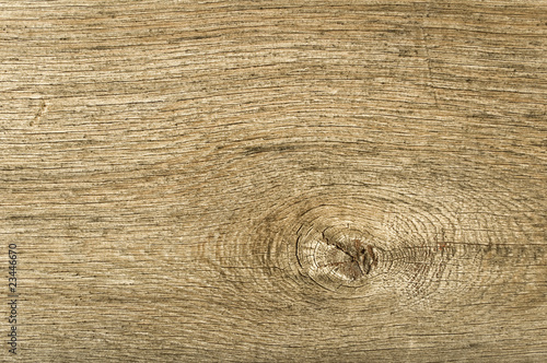 Wood material