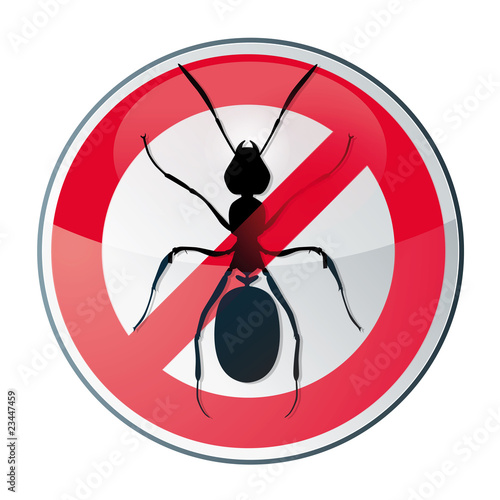 icone diagnostic fourmis / pas de fourmi