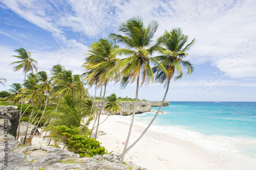 Bottom Bay  Barbados  Caribbean