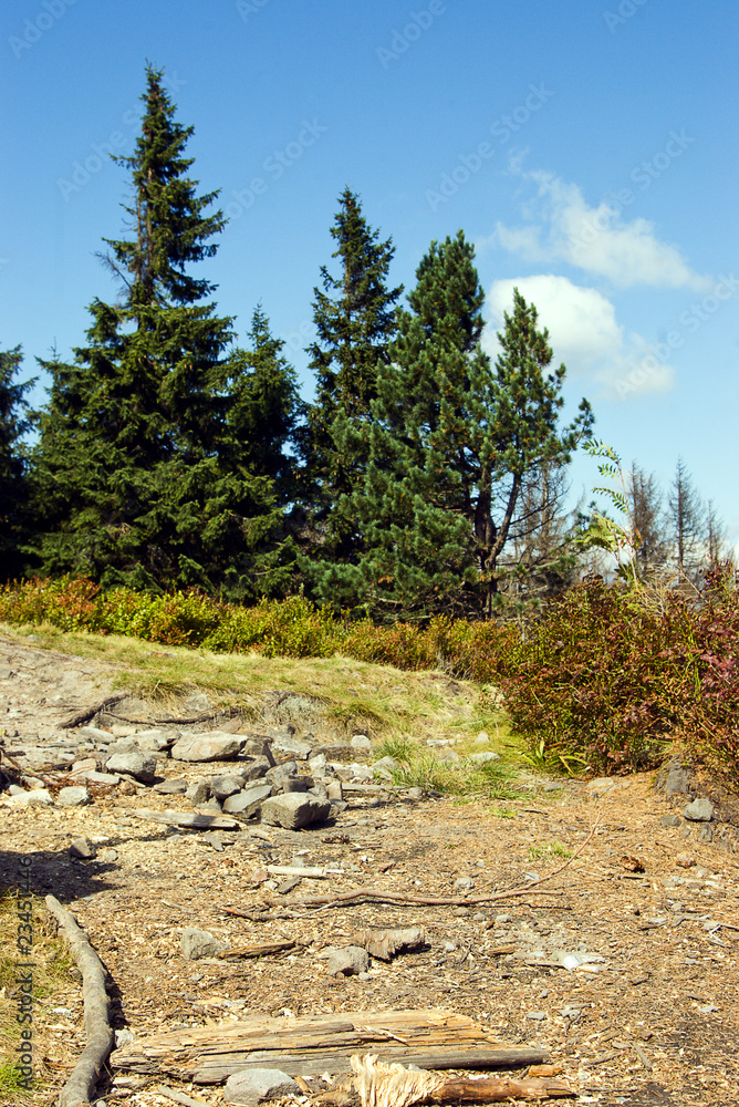 Obraz premium mountain