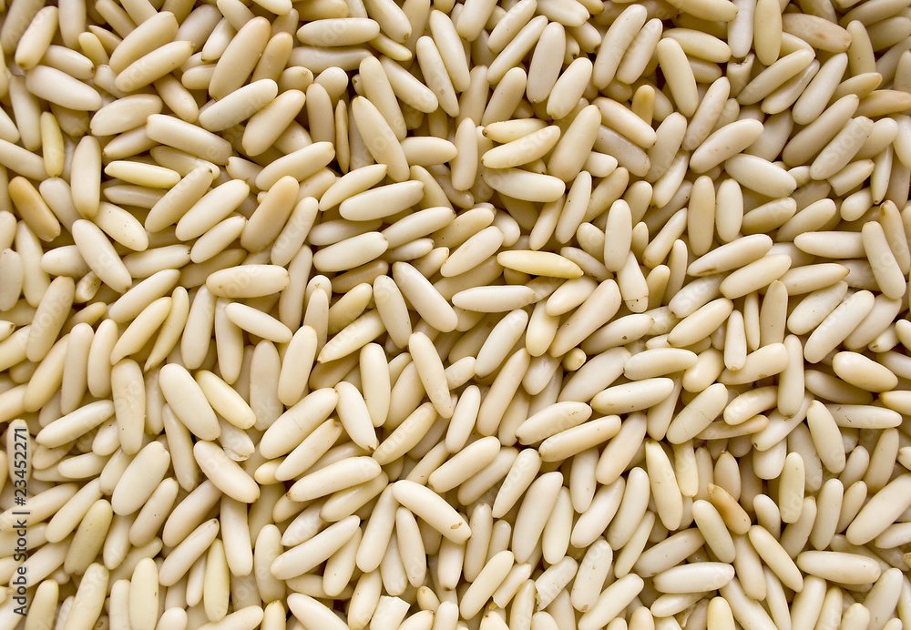 pine nuts pine nuts