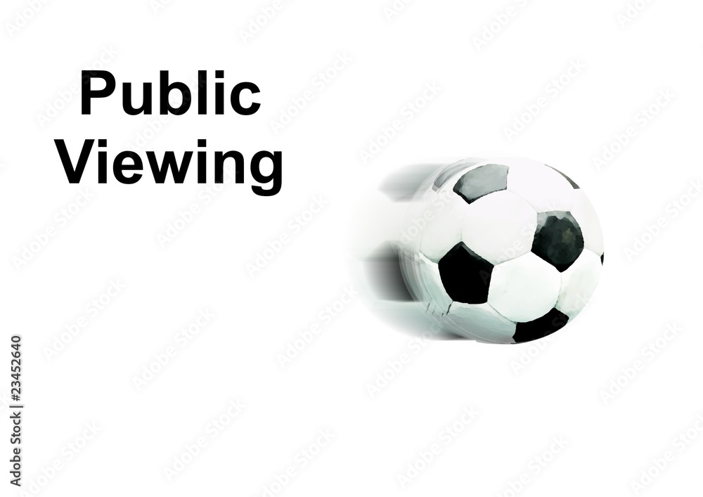 Public Viewing Public Viewing