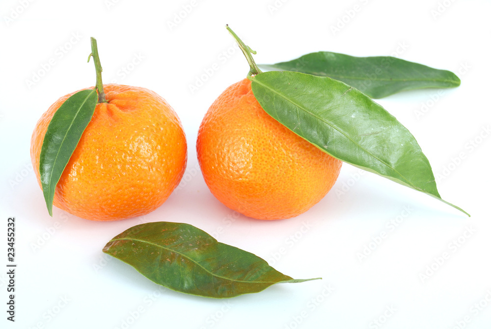 Tangerine Tangerine