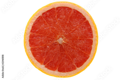 red grapefruit 1_0496