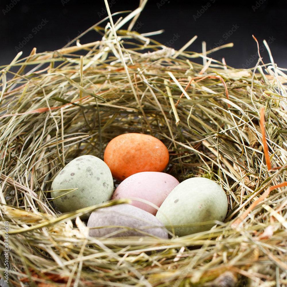 chocolate eggs in the nest chocolate eggs in the nest
