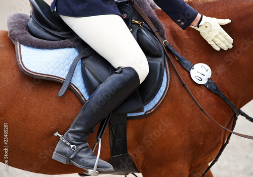 Reitsport Detail - Horse Woman © DOC RABE Media