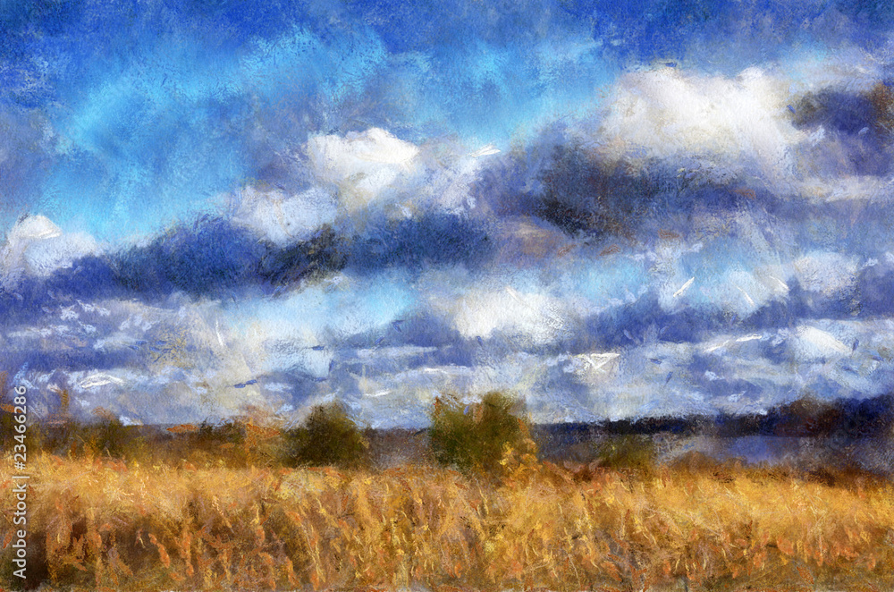 landscape with sky and grass