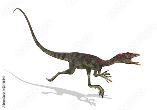 Compsognathus Dinosaur Running photo