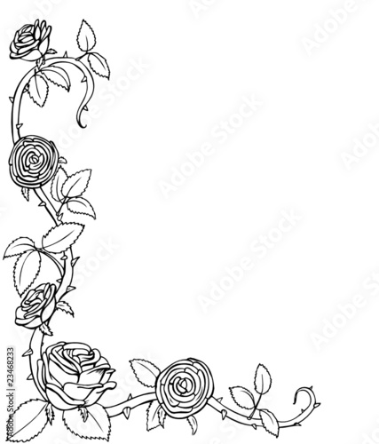 Ranke, Eckverzierung, Rosen, Rose, Rosenranke